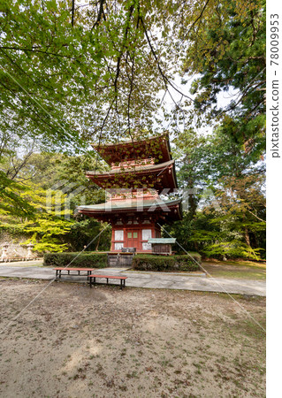 【靜岡縣】眼睛的神山遊山寺 【靜岡縣】眼睛的神山遊山寺 78009953