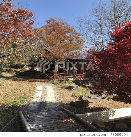 Beautiful autumnal scenery in Fujimi Town, Nagano Prefecture Beautiful autumnal scenery in Fujimi Town, Nagano Prefecture 78009994