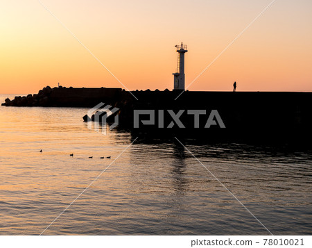 Harbor at sunset Harbor at sunset 78010021