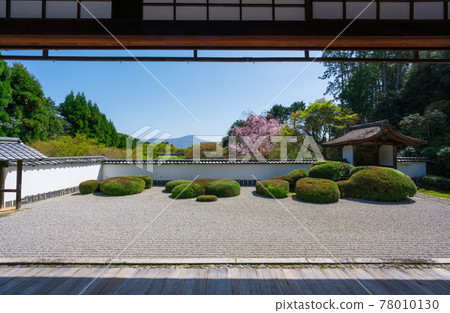 Karesansui Garden and Sakura at Shodenji Temple in Kyoto 78010130