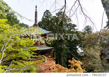【靜岡縣】眼睛的神山遊山寺 78010137