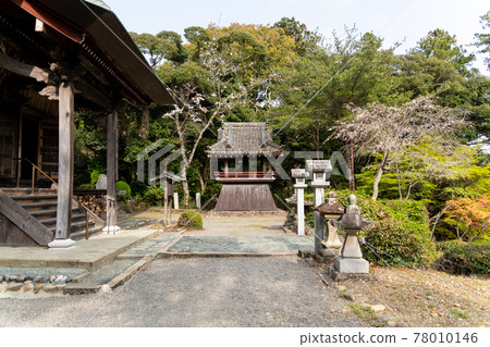 【靜岡縣】眼睛的神山遊山寺 【靜岡縣】眼睛的神山遊山寺 78010146