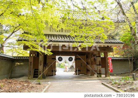 【靜岡縣】眼睛的神山遊山寺 78010196
