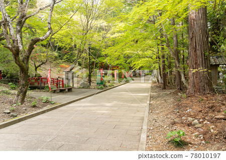【靜岡縣】眼睛的神山遊山寺 【靜岡縣】眼睛的神山遊山寺 78010197