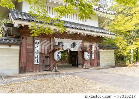 [Shizuoka Prefecture] Yusanji Temple, the sacred mountain of the eyes 78010217