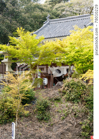 【靜岡縣】眼睛的神山遊山寺 【靜岡縣】眼睛的神山遊山寺 78010229