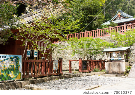 [Shizuoka Prefecture] Kunozan Toshogu Shrine 78010377