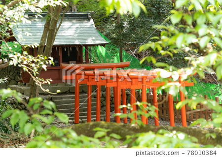 [靜岡縣] 久野山東照宮 78010384