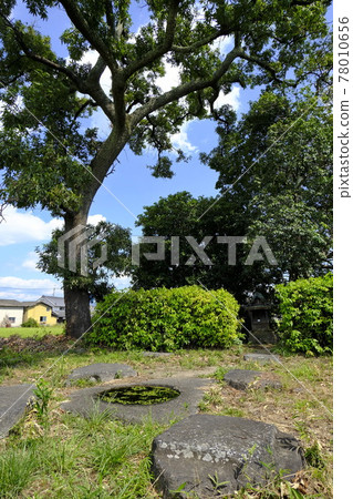 Ruins of this Yakushiji Ruins of this Yakushiji 78010656