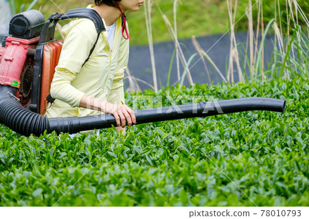 一個在茶葉上付水滴的女人,一台把它們吹走的機器 一個在茶葉上付水滴的女人,一台把它們吹走的機器 78010793