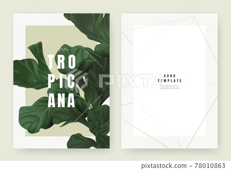 Tropical plant invitation card template design, dark green.fiddle leaf fig on light brown background Tropical plant invitation card template design, dark green.fiddle leaf fig on light brown background 78010863