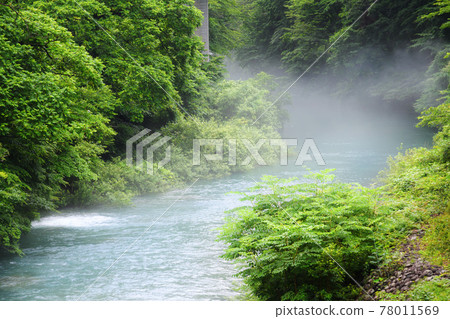 River fog River fog 78011569