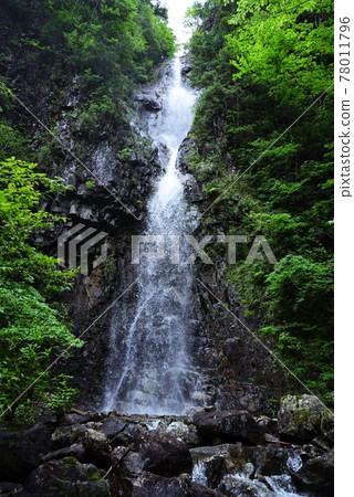 Two-tiered waterfall in Ryutokyo, which was selected as one of Japan's 100 Unexplored Views Two-tiered waterfall in Ryutokyo, which was selected as one of Japan's 100 Unexplored Views 78011796