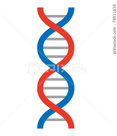 dna, gene, genes 78011819