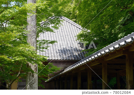 Eigenji Temple and Corridor Higashiomi City, Shiga Prefecture Eigenji Temple and Corridor Higashiomi City, Shiga Prefecture 78012084