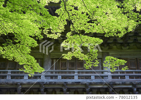 Eigenji Temple, the fresh green of the mountain gate, Higashiomi City, Shiga Prefecture Eigenji Temple, the fresh green of the mountain gate, Higashiomi City, Shiga Prefecture 78012135