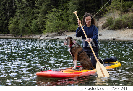 Adult Caucasian Adventure Woman on a paddle board with boxer dog 78012411