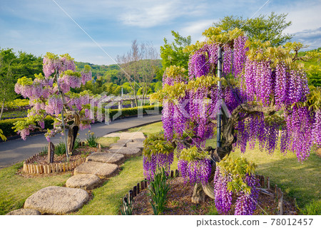 Fujioka Hill <Fujioka City, Gunma Prefecture> 78012457