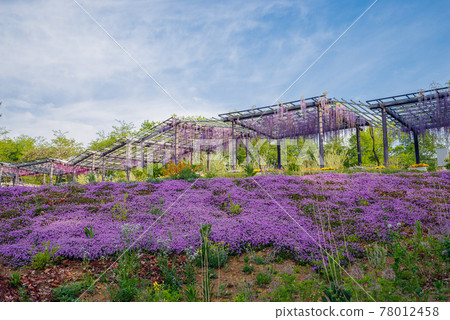 Fujioka Hill <Fujioka City, Gunma Prefecture> 78012458