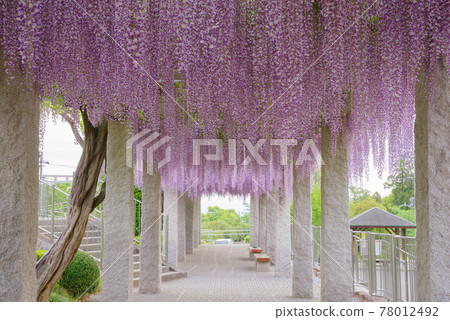 Fujioka Hill <Fujioka City, Gunma Prefecture> Fujioka Hill <Fujioka City, Gunma Prefecture> 78012492