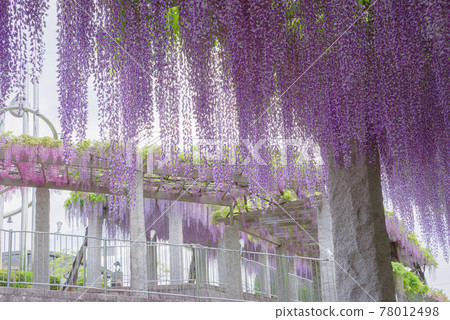 Fujioka Hill <Fujioka City, Gunma Prefecture> Fujioka Hill <Fujioka City, Gunma Prefecture> 78012498