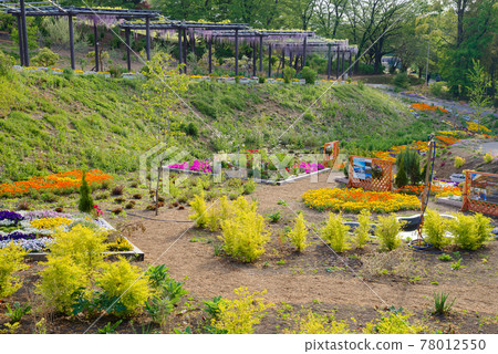 Fujioka Hill <Fujioka City, Gunma Prefecture> 78012550