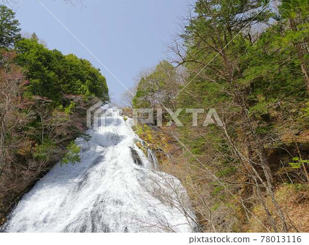 Nikko Yu 78013116