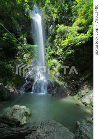 Next Falls, Aritagawa Town, Arita District, Wakayama Prefecture Next Falls, Aritagawa Town, Arita District, Wakayama Prefecture 78013480