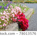 路邊花壇 78013576