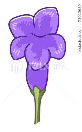 Blossom of flower, blooming flora, flourishing Blossom of flower, blooming flora, flourishing 78013689