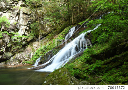Jijobo Valley (Ichinotaki) [奈良縣宇田區索尼村] 78013872