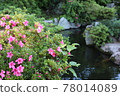 花開在池塘的兩岸 78014089