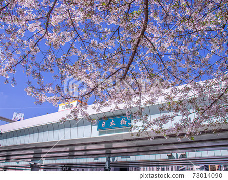 Cherry blossoms blooming in Nihonbashi Spring in the office district Cherry blossoms blooming in Nihonbashi Spring in the office district 78014090