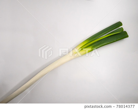 在白色背景上的韭菜 78014377