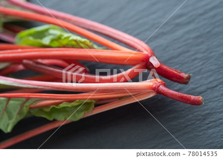 Root part of red chard Root part of red chard 78014535