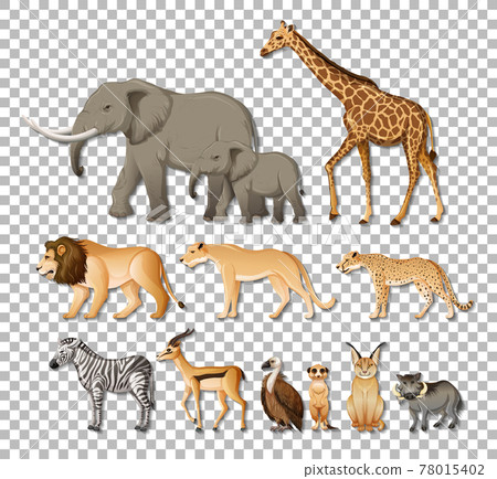 Set of isolated wild african animals on transparent background Set of isolated wild african animals on transparent background 78015402