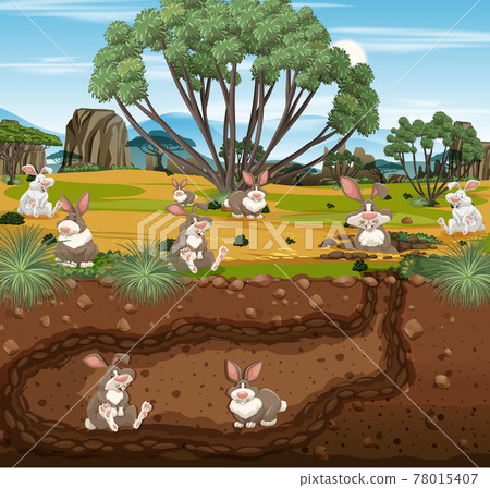 Underground animal burrow with rabbit family Underground animal burrow with rabbit family 78015407