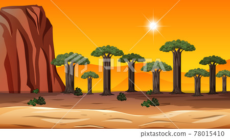 African Savanna forest landscape scene at sunset time African Savanna forest landscape scene at sunset time 78015410