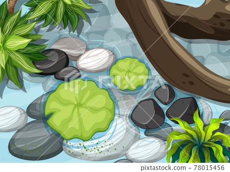 Top view of pond close up scene 78015456