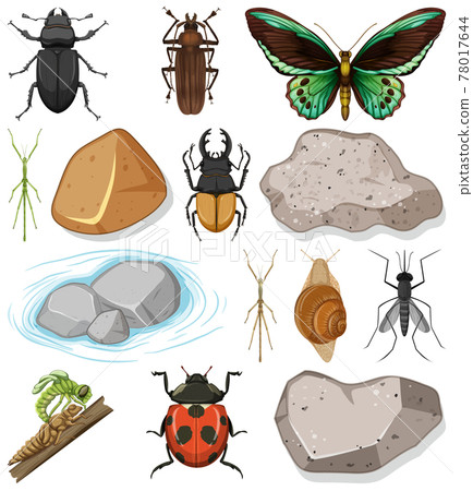 Different types of insect with nature elements 78017644