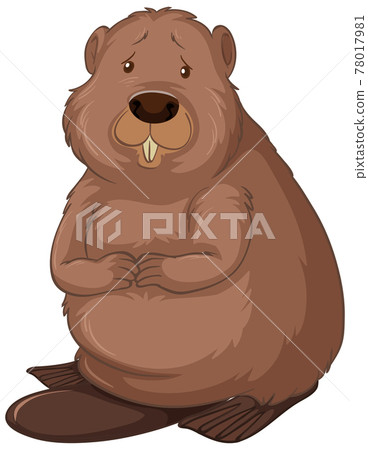 Beaver cartoon character isolated on white background 78017981