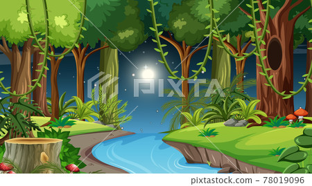 Forest landscape scene at night with many different trees Forest landscape scene at night with many different trees 78019096