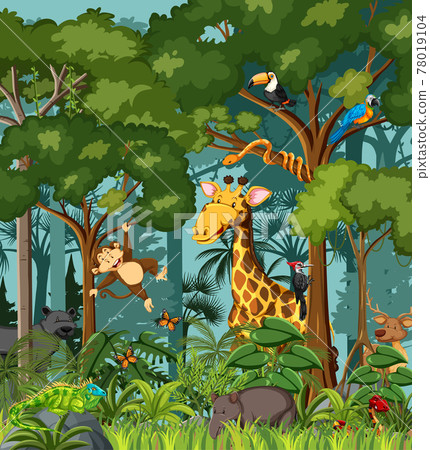 Wild animal cartoon character in the forest scene 78019104