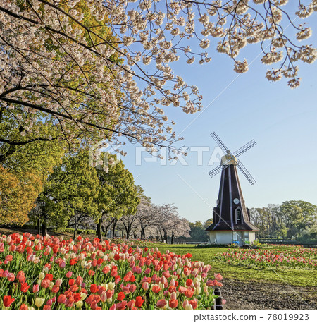 Ukimafunado Park Spring Windmill Ukimafunado Park Spring Windmill 78019923