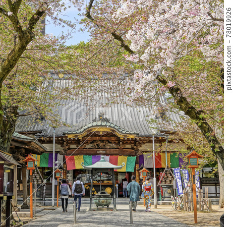 春天蓮慶寺 78019926