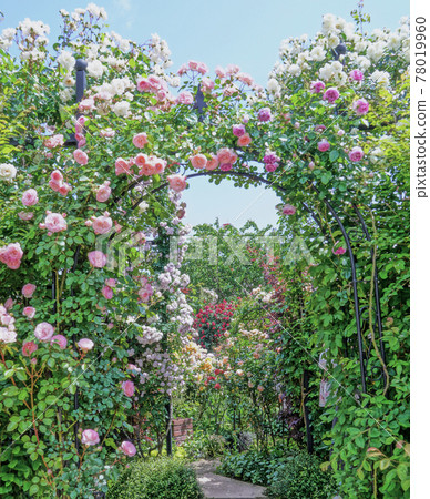 Rose Arch Yokohama English Garden Rose Arch Yokohama English Garden 78019960