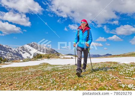 Girl during a meadow excursion with still snow and crocus flowers Girl during a meadow excursion with still snow and crocus flowers 78020270