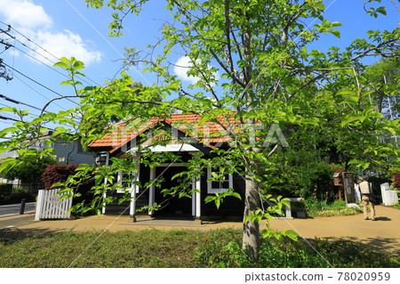 Mr. A's garden Totoro's house Mr. A's garden Totoro's house 78020959