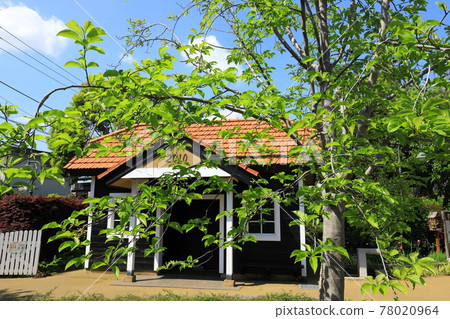 Mr. A's garden Totoro's house Mr. A's garden Totoro's house 78020964