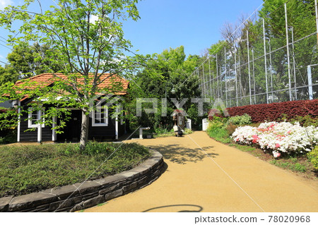 A先生的花園龍貓的家 78020968